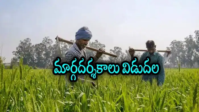 రైతుల కోసం ఖరీఫ్ డిజిటల్ సర్వే